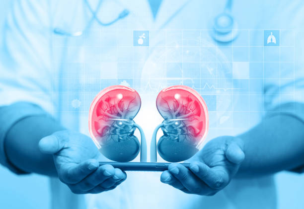 Best Nephrologists in Vashi